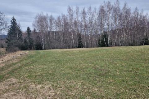 Non-structural plot Kupjak, Ravna Gora, 29.575m2