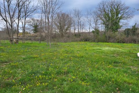 Istra, Manjadvorci, lijepa građevinska parcela na rubu mjesta