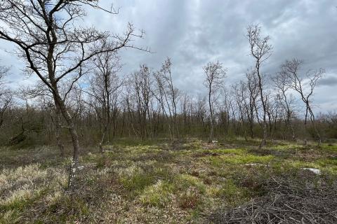 Višnjan - okolica, poljoprivredno zemljište uz asfaltiranu prometnicu