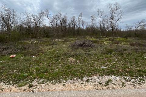 Višnjan - okolica, poljoprivredno zemljište uz asfaltiranu prometnicu