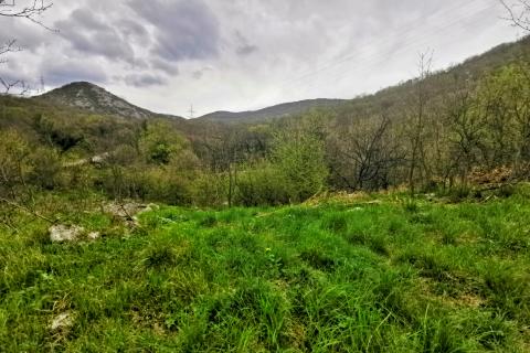 Bakar, Škrljevo, zemljište veličine 8096m2, cca 2500m2 građevinsko