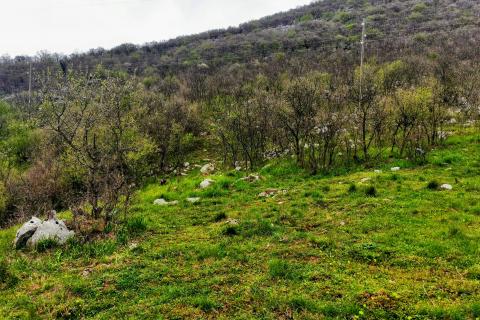 Bakar, Škrljevo, zemljište veličine 8096m2, cca 2500m2 građevinsko