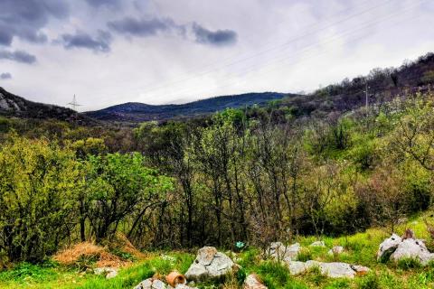 Bakar, Škrljevo, zemljište veličine 8096m2, cca 2500m2 građevinsko