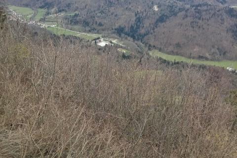 Дом Plešce, Čabar, 200m2