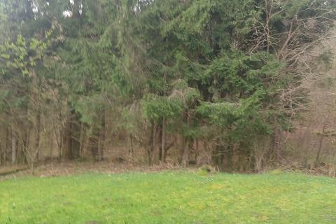 Дом Plešce, Čabar, 200m2