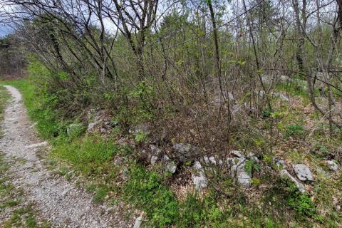 Istra, Građevinsko Zemljište 12€ m2.