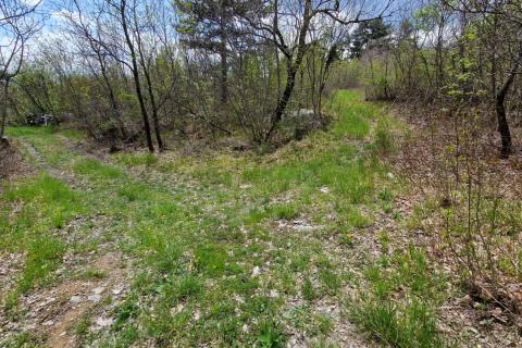 Istra, Građevinsko Zemljište 12€ m2.