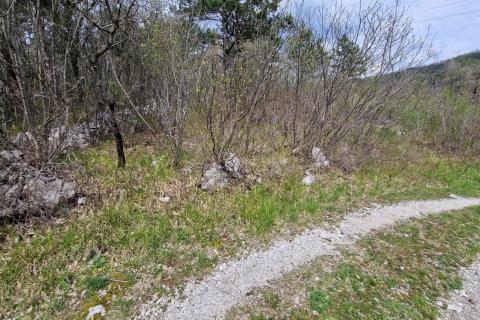 Istra, Građevinsko Zemljište 12€ m2.