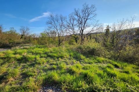 Cernik - Soboli teren poslovno - stambene namjene, cijena nije fiksna
