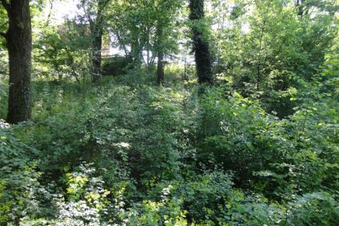 Building plot Cernik, Čavle, 2.800m2