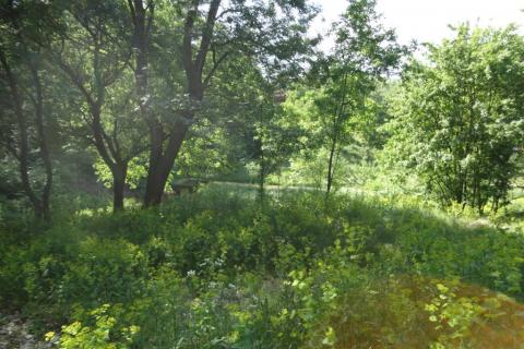 Building plot Cernik, Čavle, 2.800m2