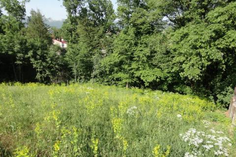 Building plot Cernik, Čavle, 2.800m2