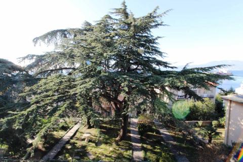 Rijeka, Pećine, najam etaže Vile površine 165m2