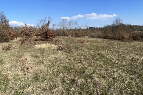 Земельный участок строительного назначения Zabrežani, Pazin - Okolica, 1.108m2