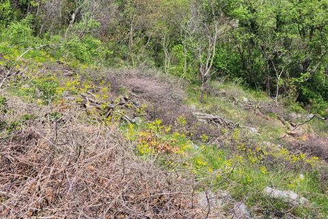 Rijeka, Svilno - građevinski teren, P+2