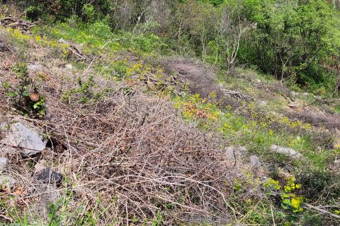 Rijeka, Svilno - građevinski teren, P+2