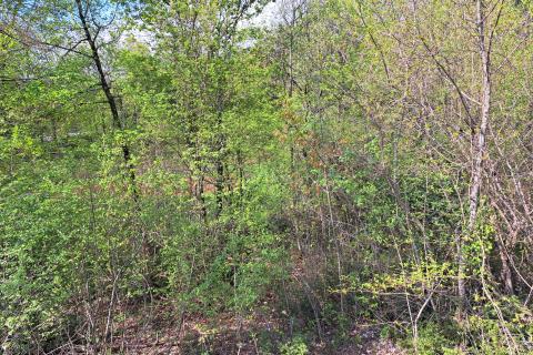 Opatija,Veprinac,građevni teren od 2275 m2