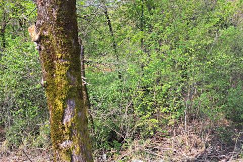 Opatija,Veprinac,građevni teren od 2275 m2