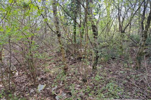 Opatija,Veprinac,građevni teren od 2275 m2