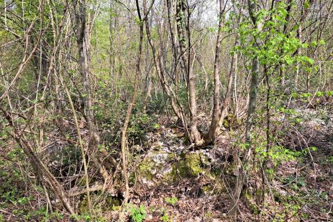 Opatija,Veprinac,građevni teren od 2275 m2