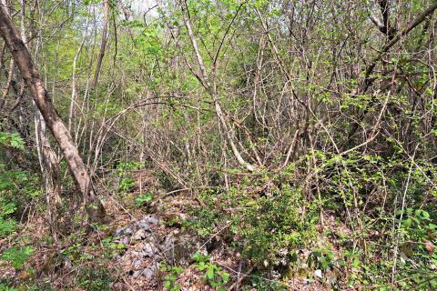 Opatija,Veprinac,građevni teren od 2275 m2