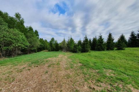 Земельный участок нестроительного назначения Stari Laz, Ravna Gora, 33.352m2