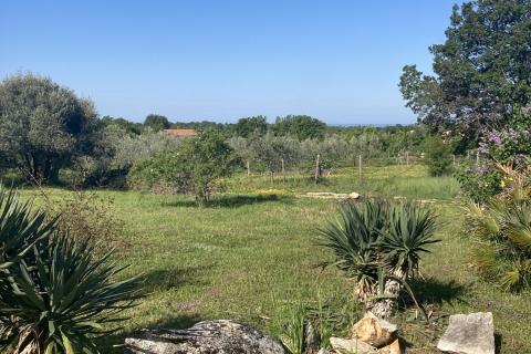 Poreč, okolica, lijepo građevinsko zemljište sa pogledom na more te objektom od 50 m2 i manjim od 17 m2