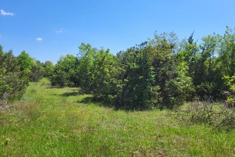 Niet bouwgrond Batvači, Vodnjan, 2.805m2