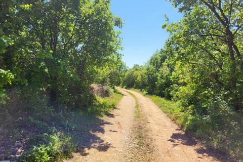 Niet bouwgrond Batvači, Vodnjan, 2.805m2