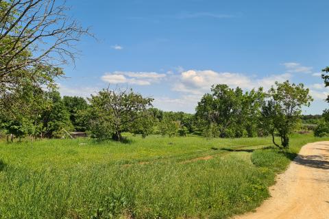 Poreč okolica: Građevinsko zemljište 7 km od Poreča