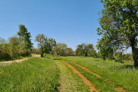 Poreč okolica: Građevinsko zemljište 7 km od Poreča