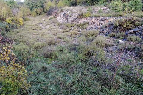 Rijeka, Čavle - građevinski teren