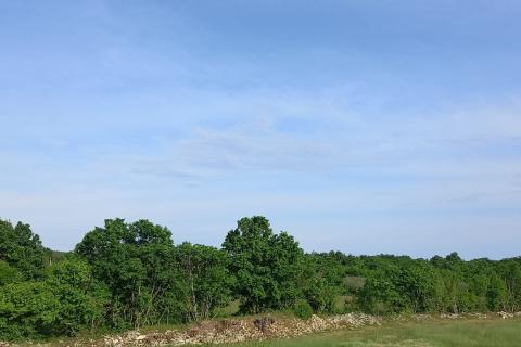 Istra, moderna vila s bazenom u manjem mjestu