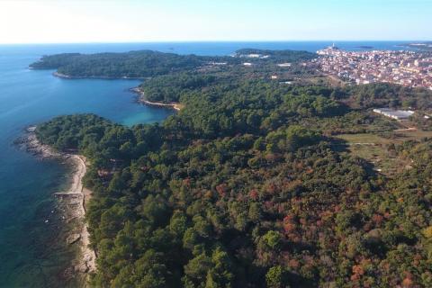 Terreno edificabile Rovinj, 11.811m2