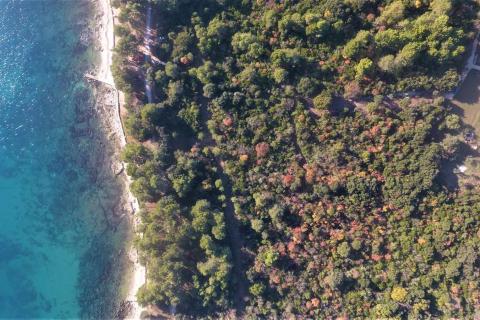 Terreno edificabile Rovinj, 11.811m2