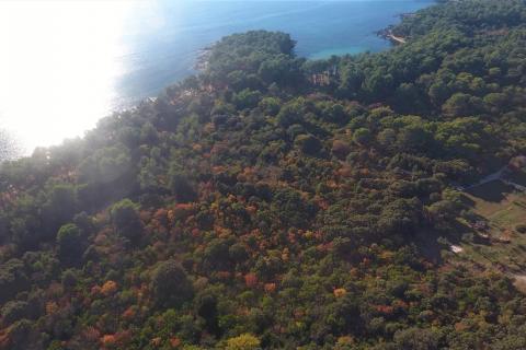 Terreno edificabile Rovinj, 11.811m2