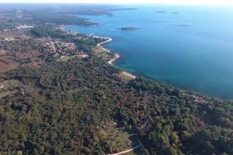 Terreno edificabile Rovinj, 11.811m2