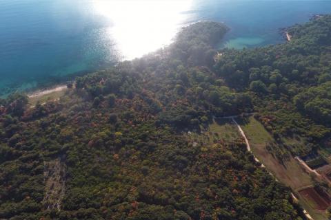 Terreno edificabile Rovinj, 11.811m2