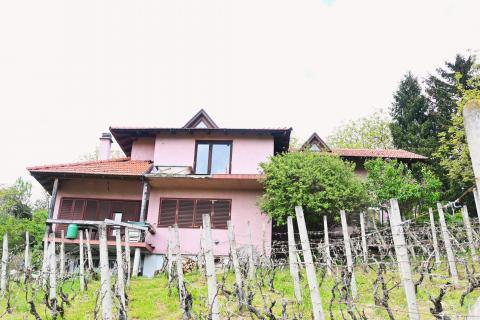 Haus Donja Zelina, Sveti Ivan Zelina, 226m2
