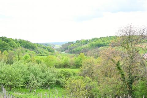 Haus Donja Zelina, Sveti Ivan Zelina, 226m2