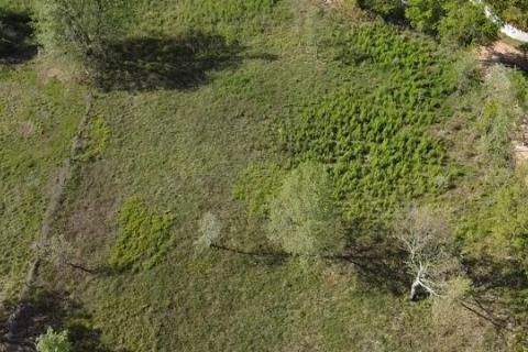 Žikovići, građevinsko zemljište 1700 m2