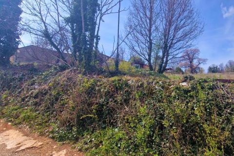 Trviž, Pazin - Okolica, 3.465m2