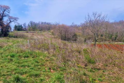 Trviž, Pazin - Okolica, 3.465m2