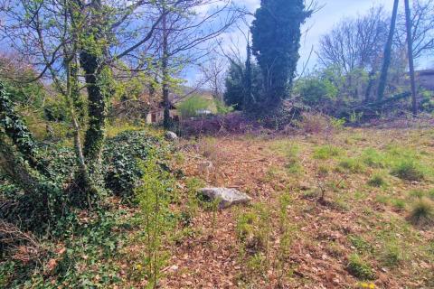 Trviž, Pazin - Okolica, 3.465m2