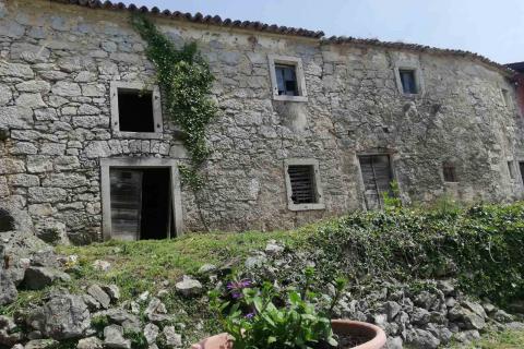 House Hum, Buzet, 800m2