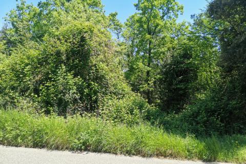 Oprić, Opatija - Okolica, 764m2