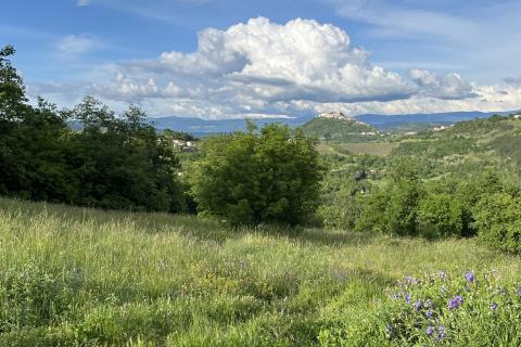 Motovun - okolica, građevinsko zemljište sa prekrasnim pogledom na Motovun