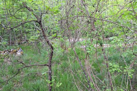 Permani, Matulji, 1.590m2