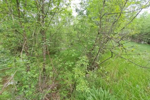 Building plot Permani, Matulji, 2.467m2