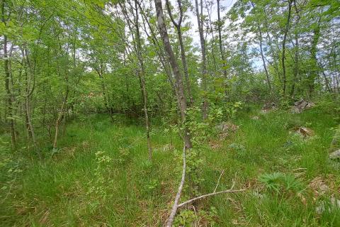 Building plot Permani, Matulji, 2.467m2